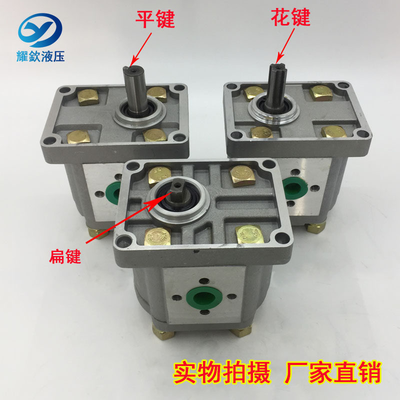 Hydraulic gear pump CBT-E304 E308 E308 E312 E314 E316 E320 E325