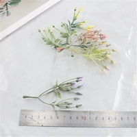 Тюльпаны случайного цвета