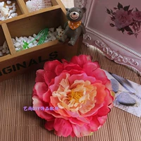 Rose Red/Compagne Core