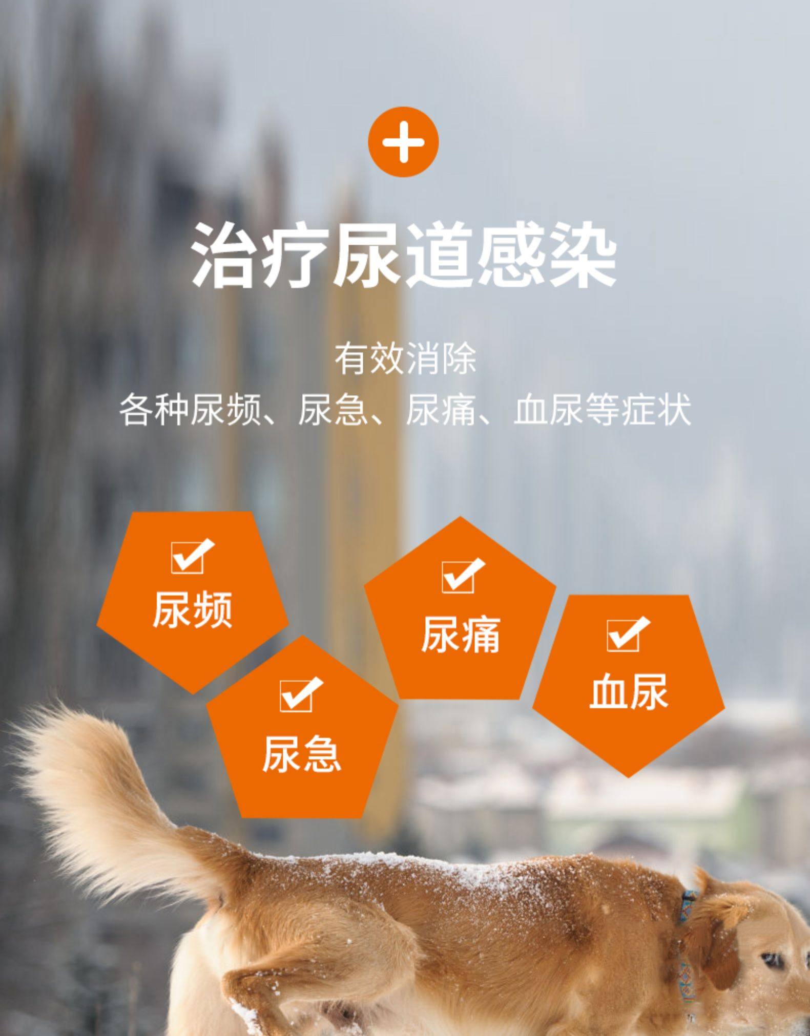 沙司多保犬猫狗泌尿痛舒宠特宝利尿通结石尿频尿血尿路感染膀胱炎 Taobao