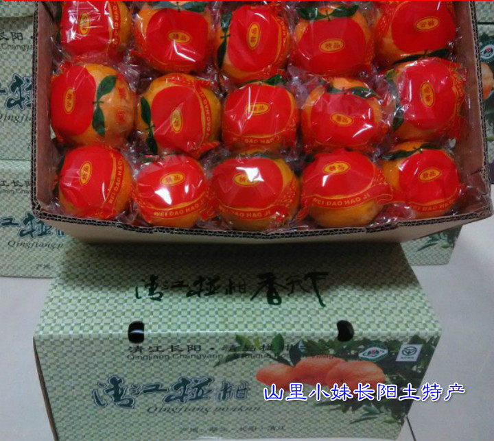 湖北长阳特产 清江岩松坪水果 特级椪柑5斤包