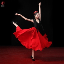 Smoke cloud dance Viethnic dance practice dress Long dress Xinjiang Grand Pendulum Skirt Uyghur Dance Practice Skirt Half Body Dress Woman