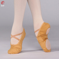 Yun dance dance shoes men and women adult cat claw soft bottom practice shoes national ballet yoga art Test dance students shoes