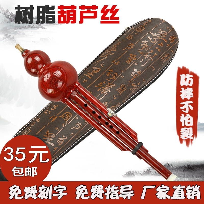 Hulux Musical Instrument Camera Resin drop B Tune Children Students Adult Beginners Learn Gift Gift