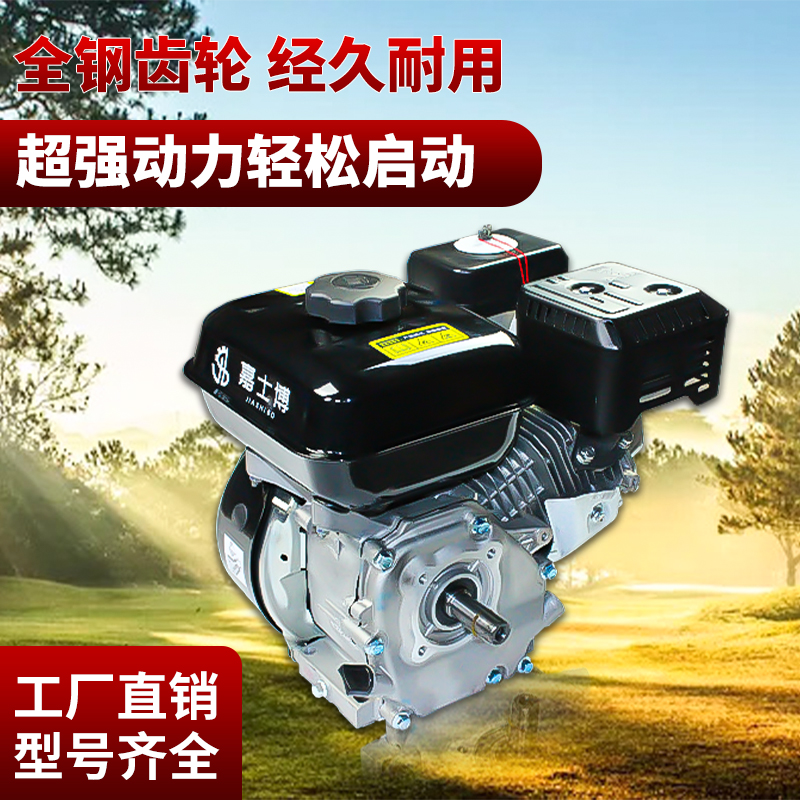Gasoline engine new 170F190F192F single-cylinder four-stroke boat-mounted micro-tillage agricultural engine power