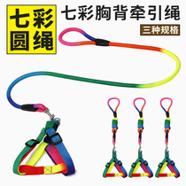 Pet dog leash strap cat Samoyabi bear Bomey Teddy colorful chest strap dog chain