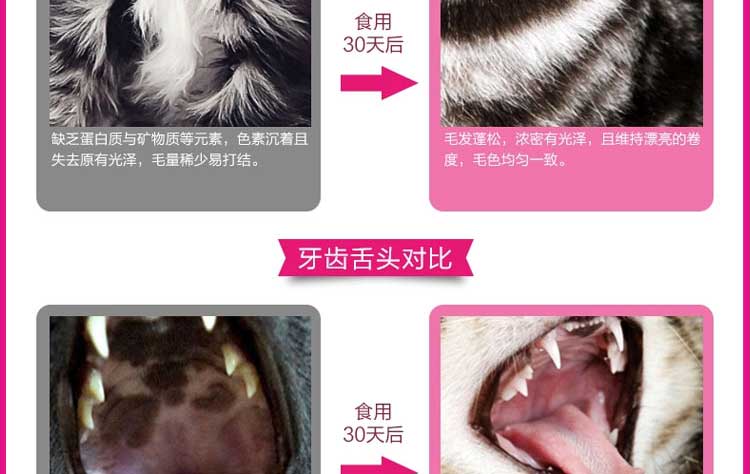 Cá biển tuyệt vời thức ăn cho mèo 2,5kg lông đẹp mắt sáng 5 kg thành mèo con mèo con mèo già mèo đi lạc thức ăn - Cat Staples Cách mix hạt cho mèo