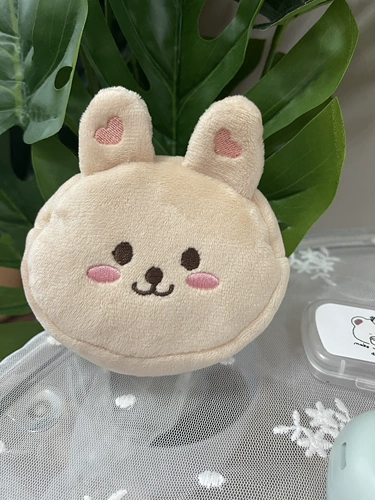 Apple, брендовый демисезонный кошелек, наушники, сумка-органайзер, защитный чехол, в корейском стиле, с вышивкой, с медвежатами