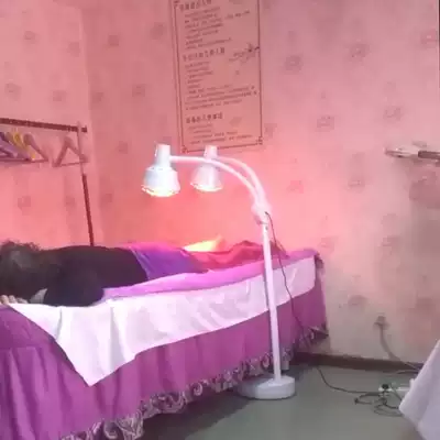 Double head beauty salon far infrared physiotherapy lamp baking electric physiotherapy home instrument multifunctional physiotherapy baking lamp heating lamp