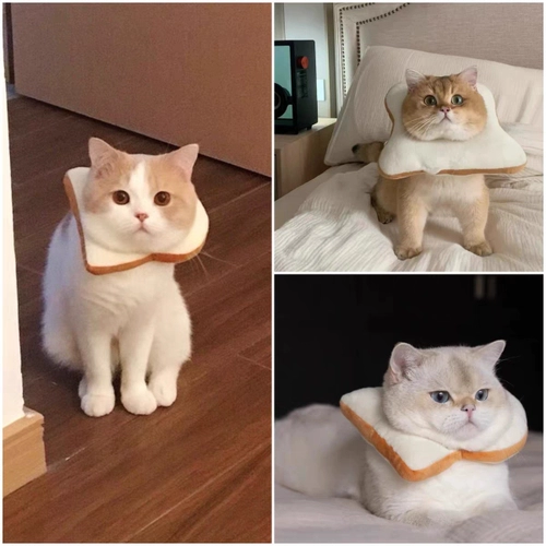 Кошка Элизаба Круг Тост Хлебная Собака набор водонепроницаемой лизать кот сеть