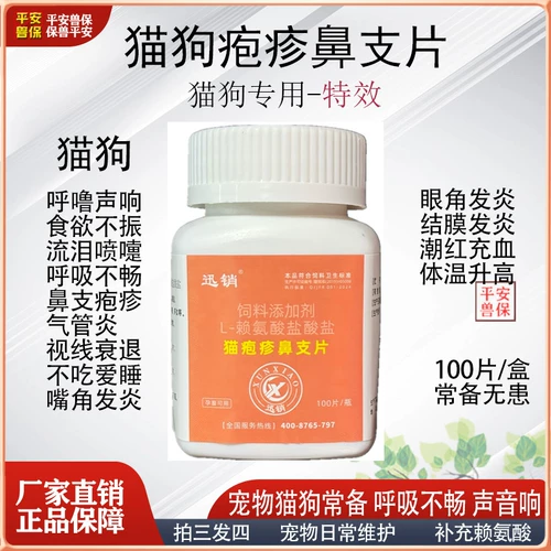 Кошки и собаки, лизин, собаки, нос, герпес, плохое дыхание, чихание, глаза, отверстия, слезы, конъюнктива, застой, храп, кашель