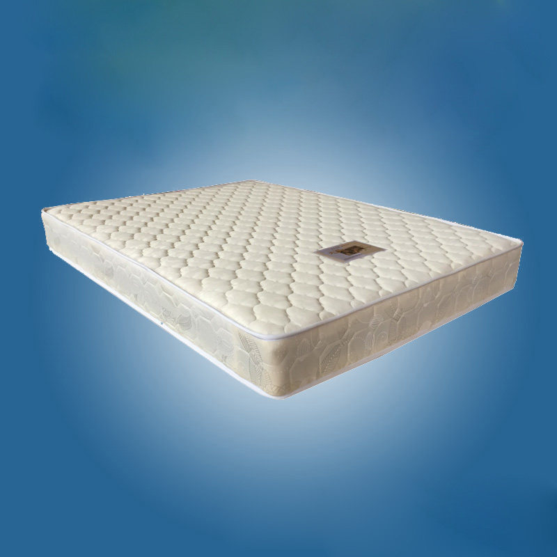 Economy Simmons Spring Mat Mat for adult coconut pad 1 2M1 35 m 1 5M1 8 custom