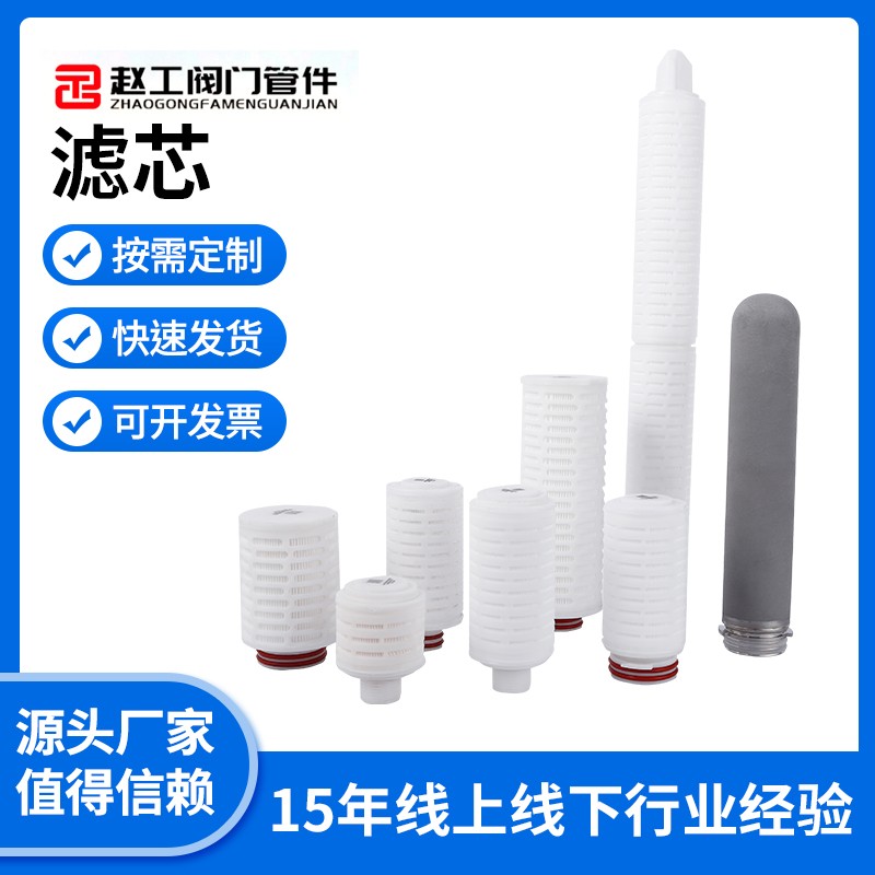 PP filter element water treatment, sterile microporous high precision air breathing titanium rod filter, 10 inch folded membrane treatment