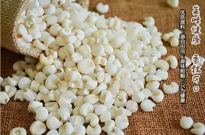 Guangxi specialty authentic Xincheng corn kernels large particles pearl white glutinous corn head 38 yuan