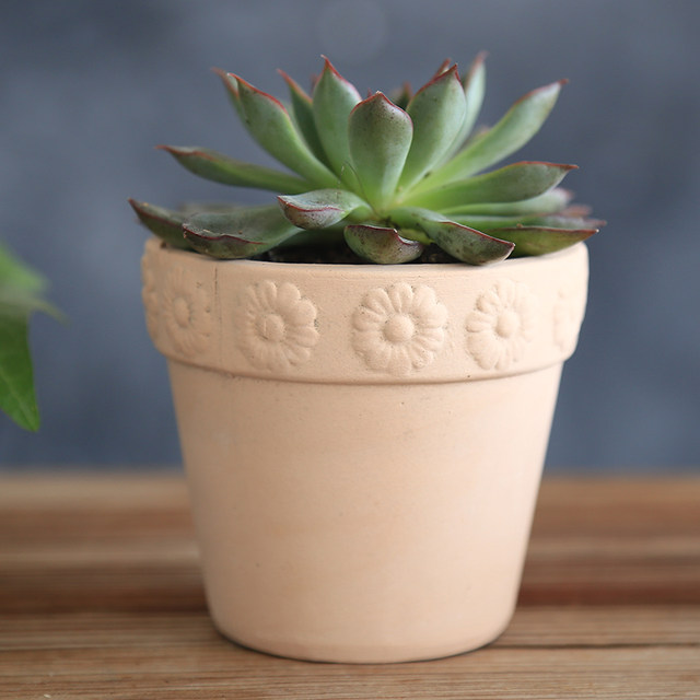 Succulent ceramic flower pot square succulent flower pot relief square small flower pot ເຄື່ອງປັ້ນດິນເຜົາສີແດງ flower pot retro pottery pottery