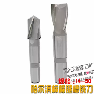 High speed net 2 blade white steel keyway milling cutter 121416 182022252830323640
