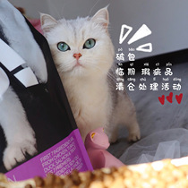 Cat tail home-broken package defective products pro-clearance special price directly off the shelf after shooting