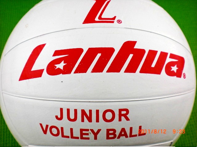 Ballon de volley-ball - Ref 2013337 Image 4