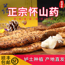 Authentic Wenxian Baotu iron stick yam fresh 5 pounds Henan Jiaozuo specialty iron Huaihuai powder waxy slices premium grade