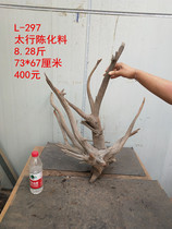 Taihang cliff cypress shape wool Tuo Tuo ornaments Red and white material ancient wood root carving Natural boutique aging