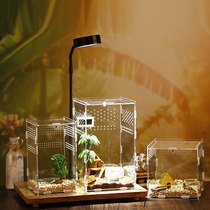 Special box for snail raising box breeding box Villa breeding box multifunctional crawling pet watching ecological Spider
