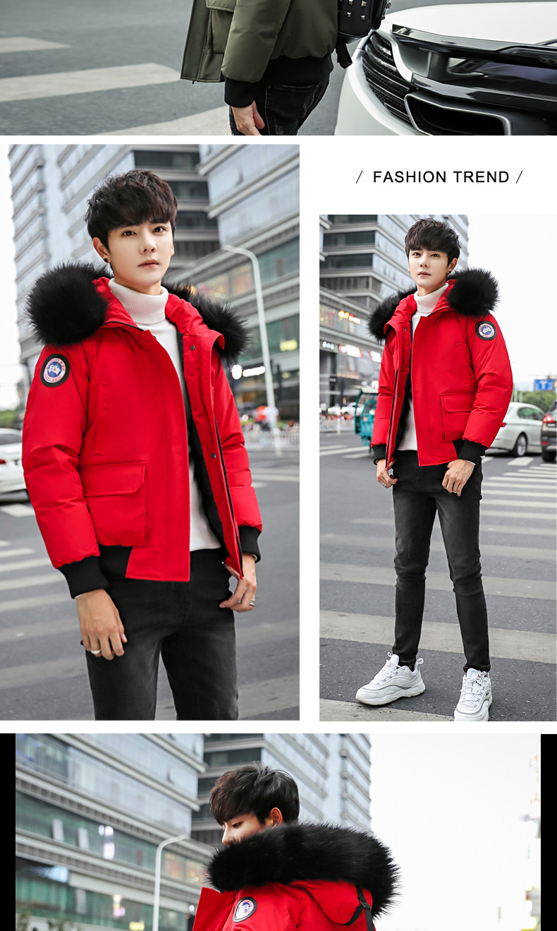 Blouson hiver pour homme   OTHER - Ref 3111923 Image 14