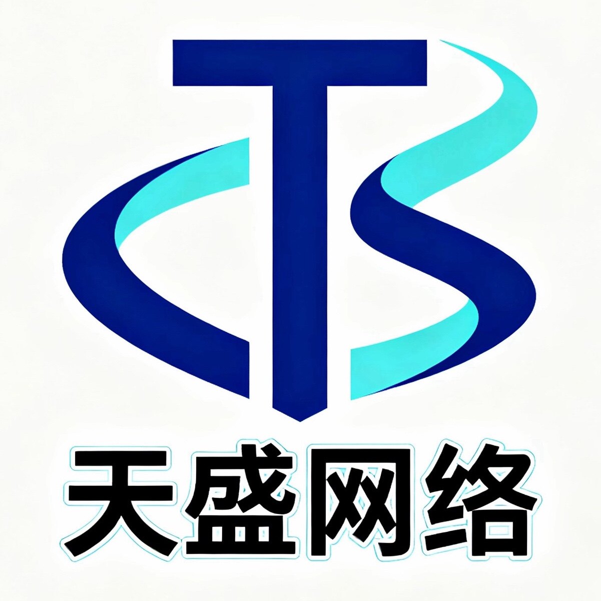 天盛网络软件服务