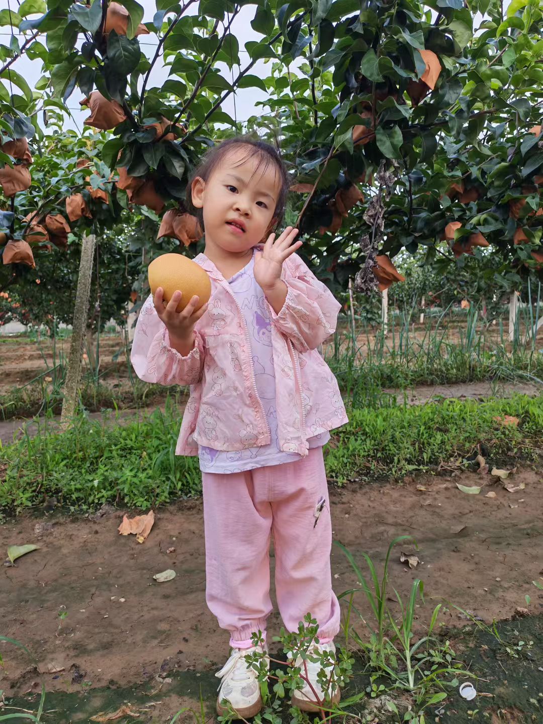 暖暖的农家小院乳山特产