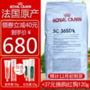 Bán trước! Pháp SC365D Toàn năng chăm sóc cả ngày 15kg phiên bản Hồng Kông của thức ăn chủ yếu của Mèo Hoàng gia Pháp 19,1 tháng