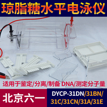 Beijing Liuyi DYCP-31DN 31BN 31CN Agarose level electrophoresis instrument tank DNA electrophoresis tank electrophoresis instrument