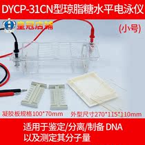 Beijing 61 DYCP-31CN Type of Agar Sugar Level Electrophoresis Gauge (trumpet)