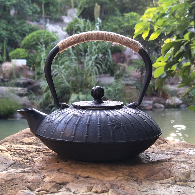 Fugui iron pot Japanese cast iron teapot dragonfly pig iron pot handmade southern kettle flat rice spike retro teapot