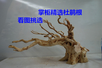 Q Landscape sinking wood Aquarium landscape rhododendron root water plant glue ornaments climb PET Thai sinking wood