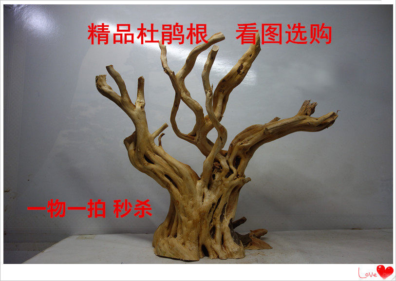 L Water plant landscaping Shenmu rhododendron root climbing pet box Qinglong Stone fish tank Landscaping Rhododendron root water plant glue