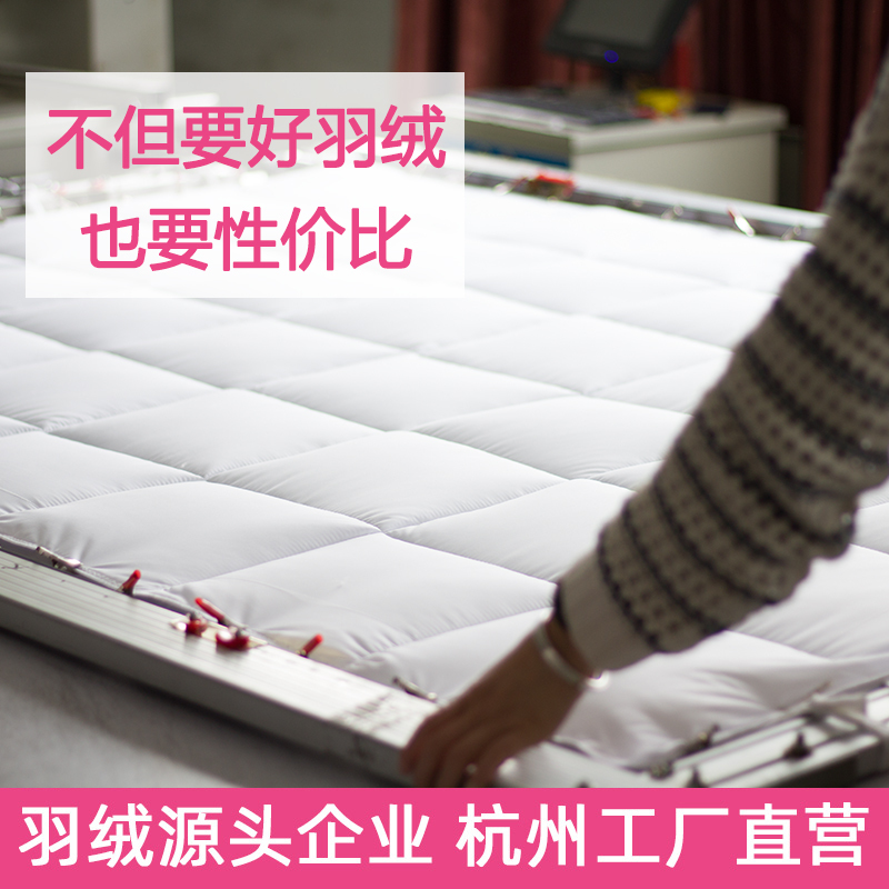[Direct Sales from down Product Factory] down Quilt 95% White Goose down Silk Quilt Spring and Autumn Quilt Thickened Winter Quilt Single and Double