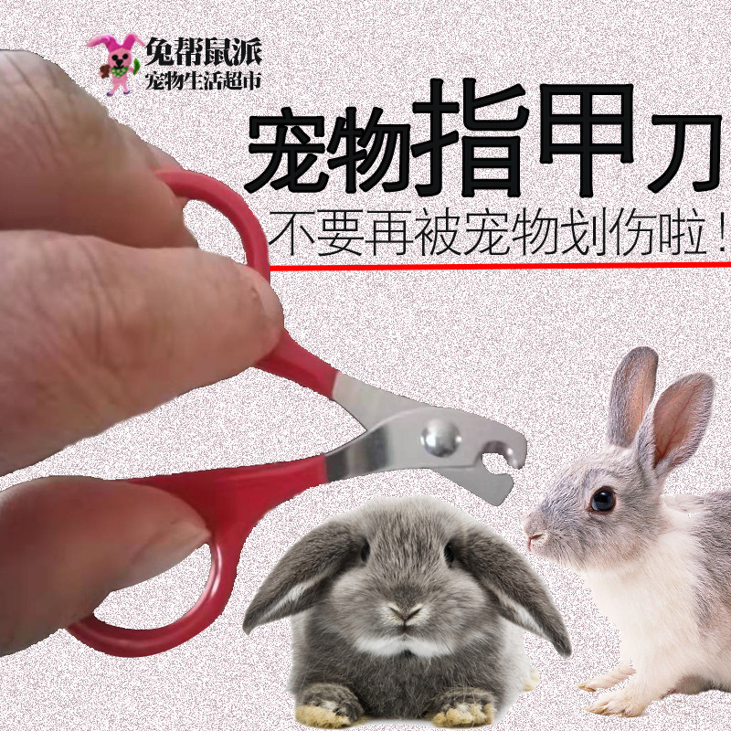 Pet Rabbit's household items Cut nail clippers Rabbit Assorted Special Nails Cut Dutch Pig Tian Geranium clippings