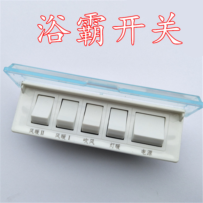 Wall mounted bath bath switch 16A wall hanging bath switch air heating bath bath 5 switch common type