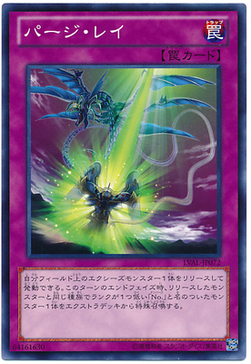 (Hyatt King) N Pinka purified light 807th Edition