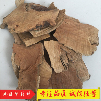 Yew root Chinese herbal medicine yew tree root Yunnan yew tree root original tree root 500 gr