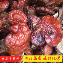 Chinese herbal medicine Ganoderma lucidum Changbai Mountain pruning Ganoderma lucidum Linzhi Ganoderma lucidum and other Ganoderma spp 500g