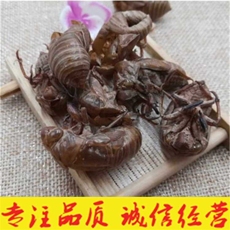 Ccaca degenerate Chinese medicine cicada dissolves cicada and knows the shell golden cow 500 grams