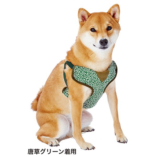 (Japan) Japanese traditional arabesque pattern Shiba Inu chest strap Upgraded explosion-proof cushioning pure cotton breathable