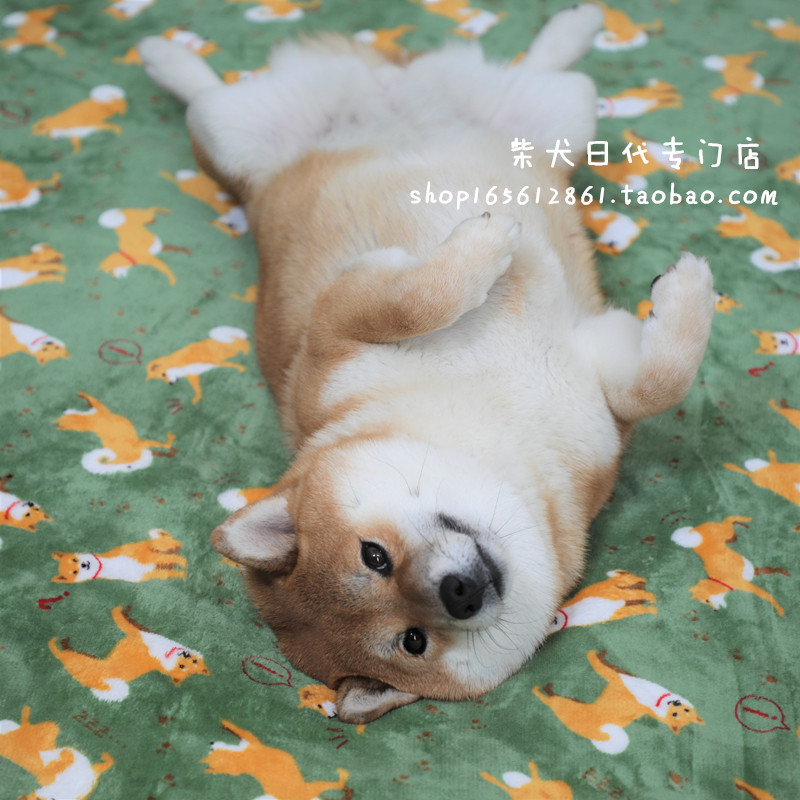 (Japan) 2019 Autumn Winter New Real Body Shop Limited Firewood Fields Warm Winter Double Layer Thickened Coral Fleece