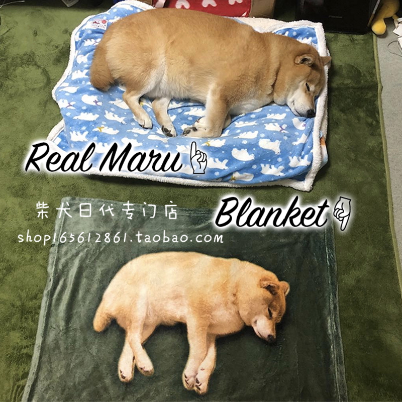 (Japan) Welfare Japanese-made Shiba Inu Maru with the same Shiba Inu whole body four-season multi-use small blanket