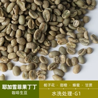 绿之素 Guo Tintin Warhing G1 Coffee Raw Bean Fair Material