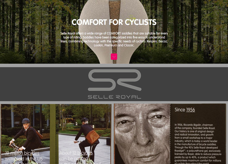 Selle de vélo Mountain Bike SELLE ROYAL - Ref 2359189 Image 10