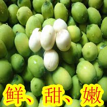 Explosive specialty Wuyi Xuanlian fresh lotus lotus seed farm self-produced fresh lotus seeds