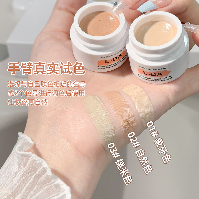 Setting Powder Foundation, Concealer Cushion, Long-Lasting Foundation, Moisturizing and Brightening Liquid, Highlighter All-In-One Palette