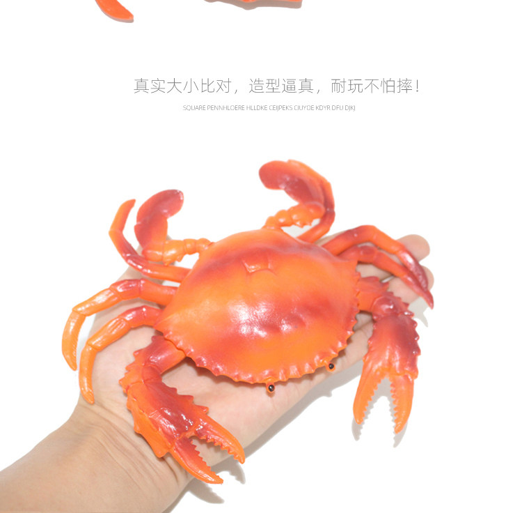 Игрушки-животные 仿真塑胶螃蟹玩具大闸蟹海蟹海鲜动物模型大号龙虾儿童男孩礼物 053