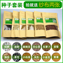 Paper vegetables Hydroponic sprouts Seeds Four seasons sprouts seeds Oil sunflower peas wheat radish Cabbage